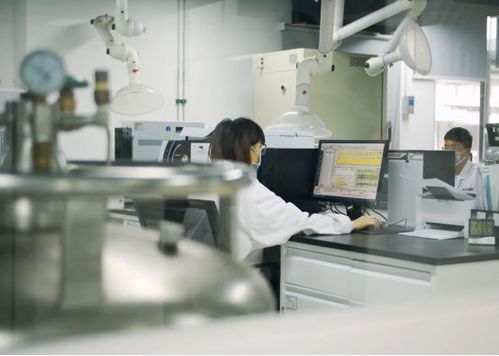 生產活力有序恢復，儀器儀表綜合服務與物聯網應用雙輪驅動助力企業提質增效